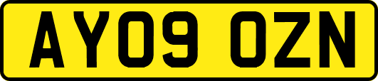 AY09OZN