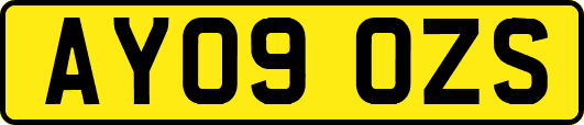AY09OZS