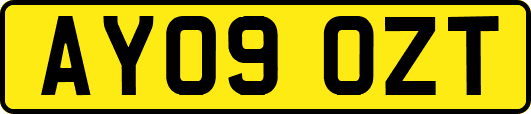 AY09OZT