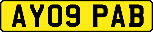 AY09PAB