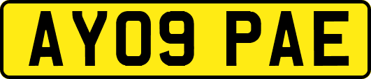 AY09PAE