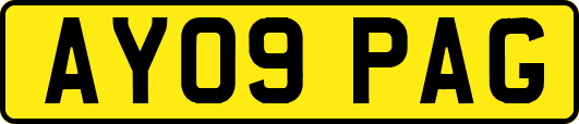 AY09PAG