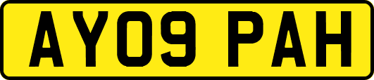 AY09PAH