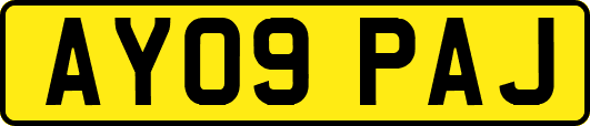 AY09PAJ