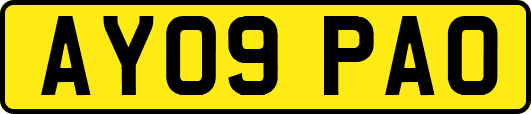 AY09PAO