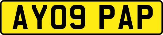 AY09PAP
