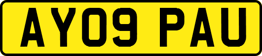 AY09PAU