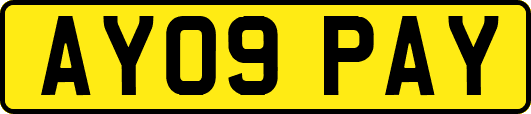 AY09PAY