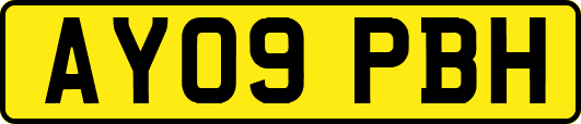 AY09PBH