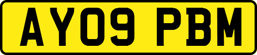AY09PBM