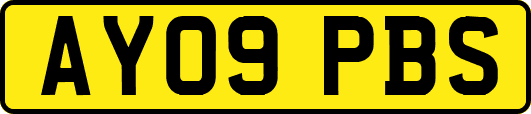 AY09PBS