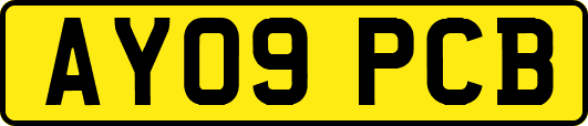 AY09PCB