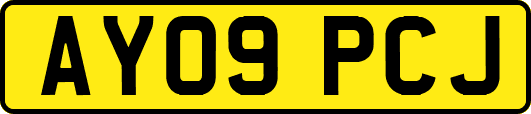 AY09PCJ