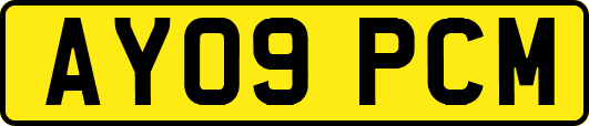 AY09PCM