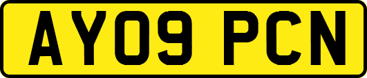 AY09PCN
