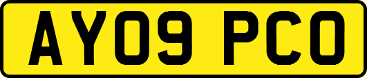 AY09PCO