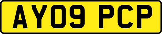 AY09PCP