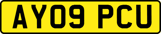 AY09PCU