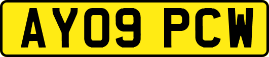 AY09PCW