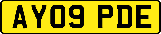 AY09PDE