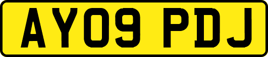 AY09PDJ