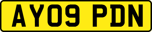 AY09PDN
