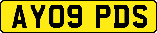 AY09PDS