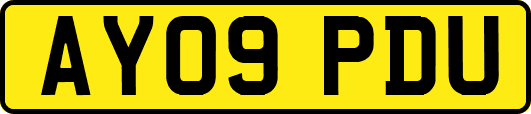 AY09PDU