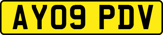 AY09PDV