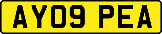 AY09PEA