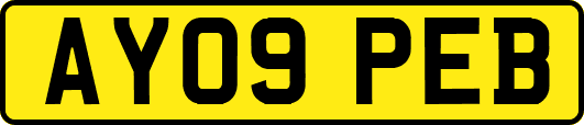 AY09PEB
