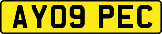 AY09PEC