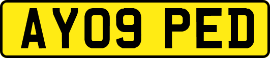 AY09PED