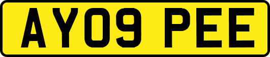AY09PEE