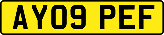 AY09PEF