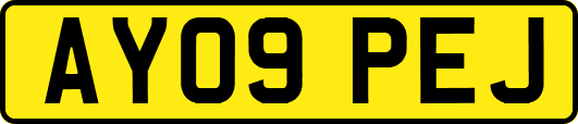 AY09PEJ