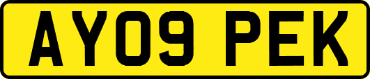 AY09PEK