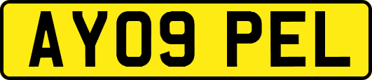 AY09PEL