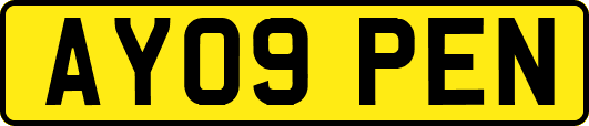 AY09PEN