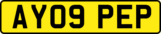 AY09PEP