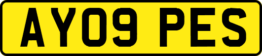 AY09PES