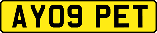 AY09PET
