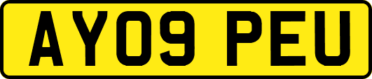 AY09PEU