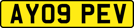 AY09PEV