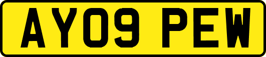 AY09PEW