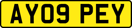 AY09PEY