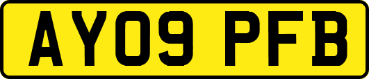 AY09PFB