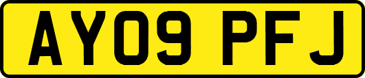 AY09PFJ