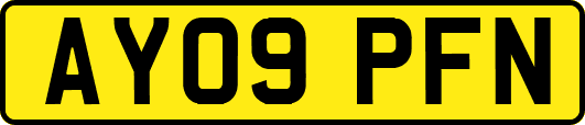 AY09PFN