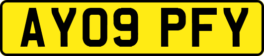 AY09PFY